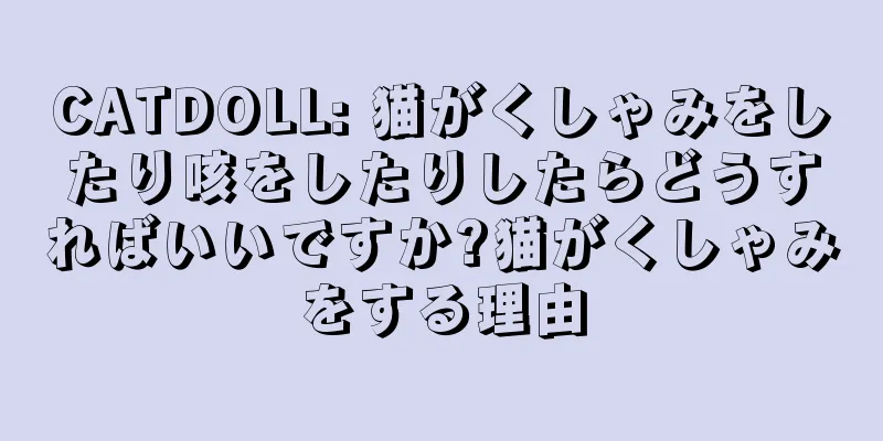 CATDOLL: 猫がくしゃみをしたり咳をしたりしたらどうすればいいですか?猫がくしゃみをする理由