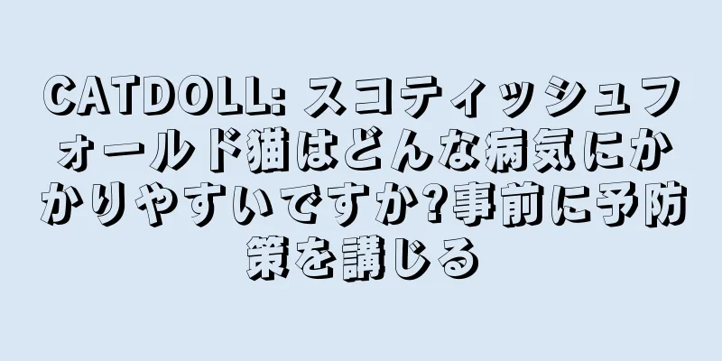 CATDOLL: スコティッシュフォールド猫はどんな病気にかかりやすいですか?事前に予防策を講じる