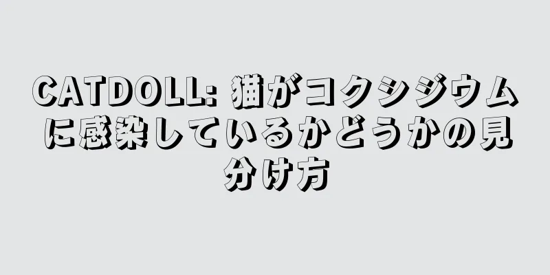 CATDOLL: 猫がコクシジウムに感染しているかどうかの見分け方