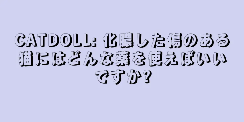 CATDOLL: 化膿した傷のある猫にはどんな薬を使えばいいですか?