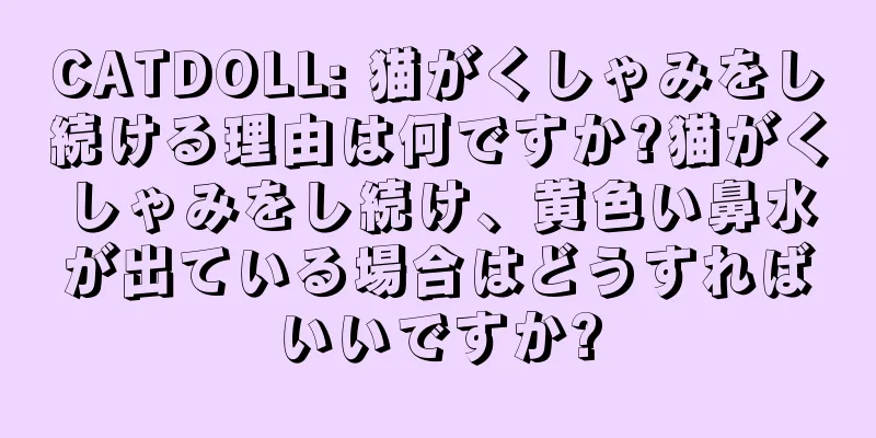 CATDOLL: 猫がくしゃみをし続ける理由は何ですか?猫がくしゃみをし続け、黄色い鼻水が出ている場合はどうすればいいですか?