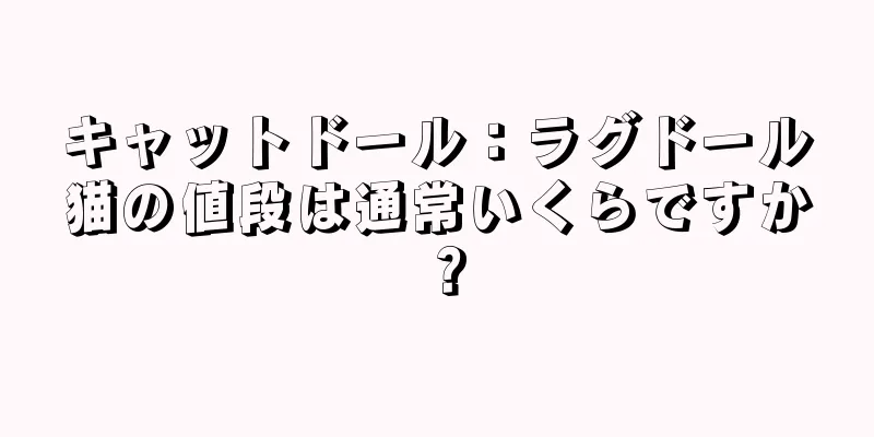 キャットドール：ラグドール猫の値段は通常いくらですか？