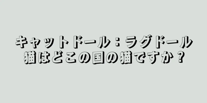 キャットドール：ラグドール猫はどこの国の猫ですか？