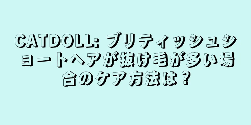 CATDOLL: ブリティッシュショートヘアが抜け毛が多い場合のケア方法は？