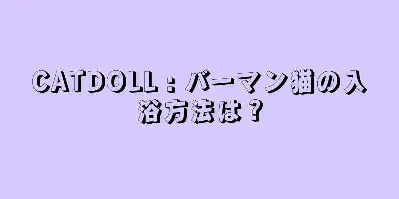 CATDOLL : バーマン猫の入浴方法は？