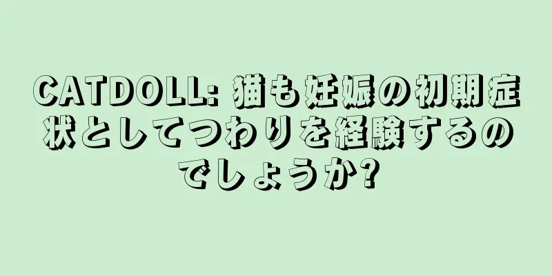 CATDOLL: 猫も妊娠の初期症状としてつわりを経験するのでしょうか?