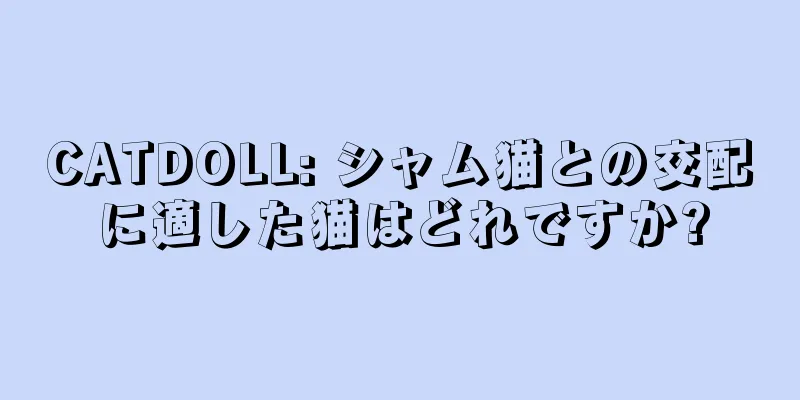CATDOLL: シャム猫との交配に適した猫はどれですか?