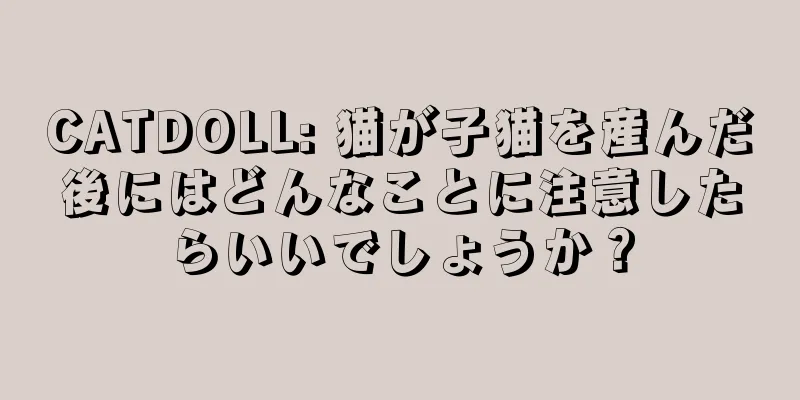 CATDOLL: 猫が子猫を産んだ後にはどんなことに注意したらいいでしょうか？