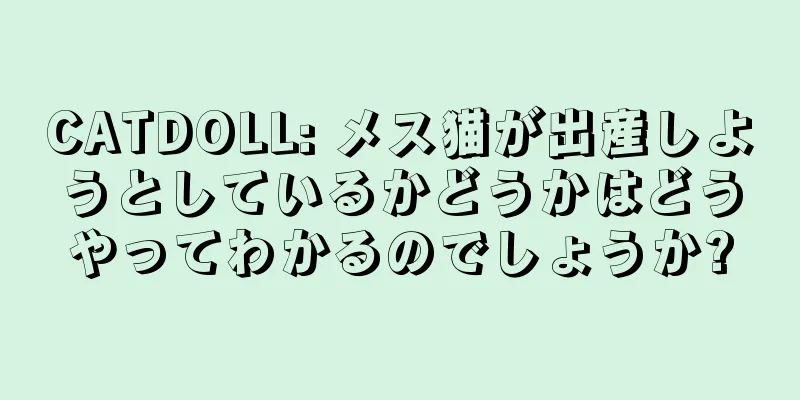 CATDOLL: メス猫が出産しようとしているかどうかはどうやってわかるのでしょうか?