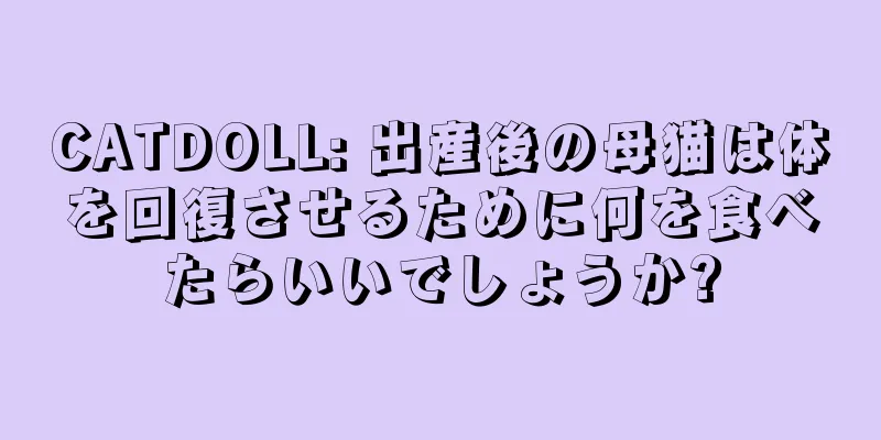 CATDOLL: 出産後の母猫は体を回復させるために何を食べたらいいでしょうか?