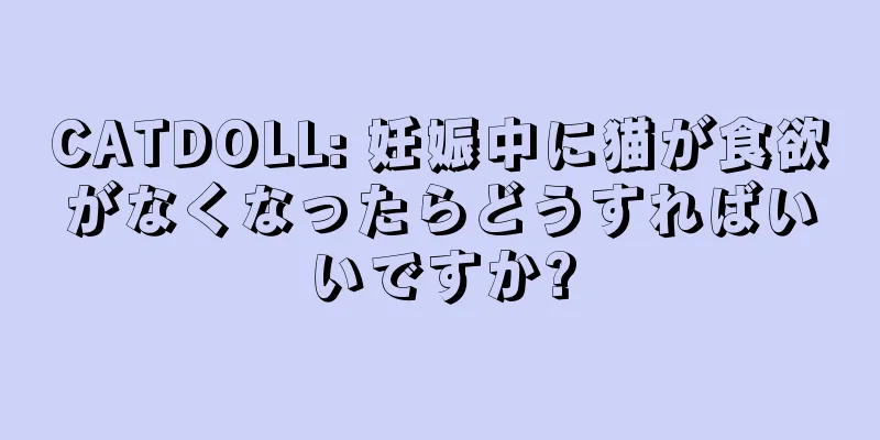 CATDOLL: 妊娠中に猫が食欲がなくなったらどうすればいいですか?