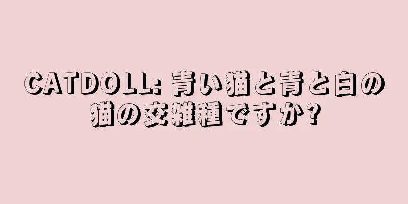 CATDOLL: 青い猫と青と白の猫の交雑種ですか?