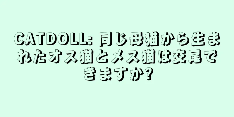 CATDOLL: 同じ母猫から生まれたオス猫とメス猫は交尾できますか?