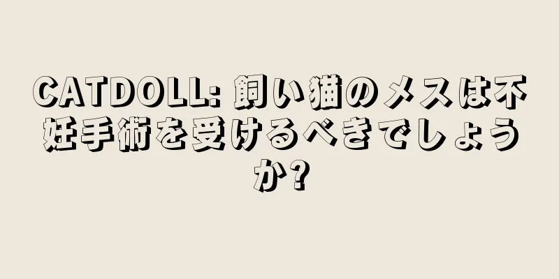 CATDOLL: 飼い猫のメスは不妊手術を受けるべきでしょうか?