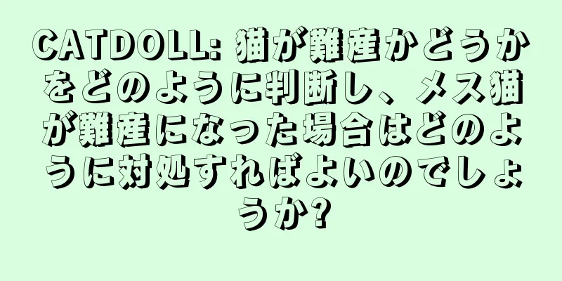 CATDOLL: 猫が難産かどうかをどのように判断し、メス猫が難産になった場合はどのように対処すればよいのでしょうか?