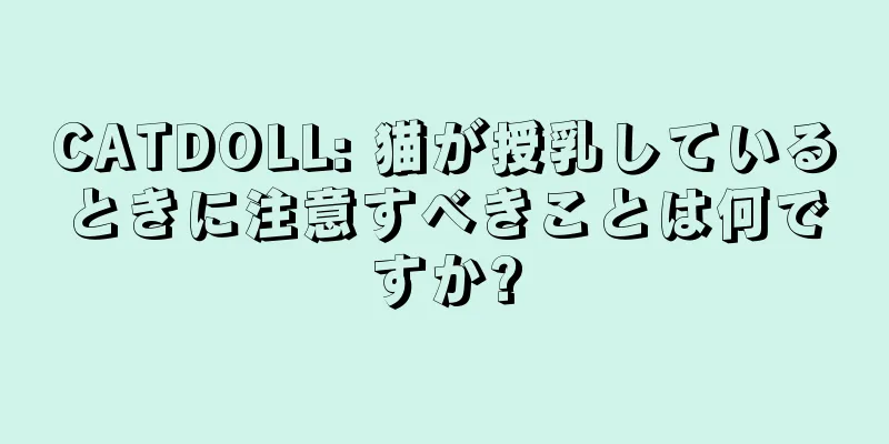 CATDOLL: 猫が授乳しているときに注意すべきことは何ですか?