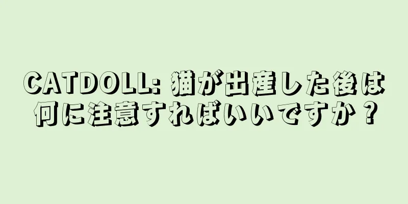 CATDOLL: 猫が出産した後は何に注意すればいいですか？