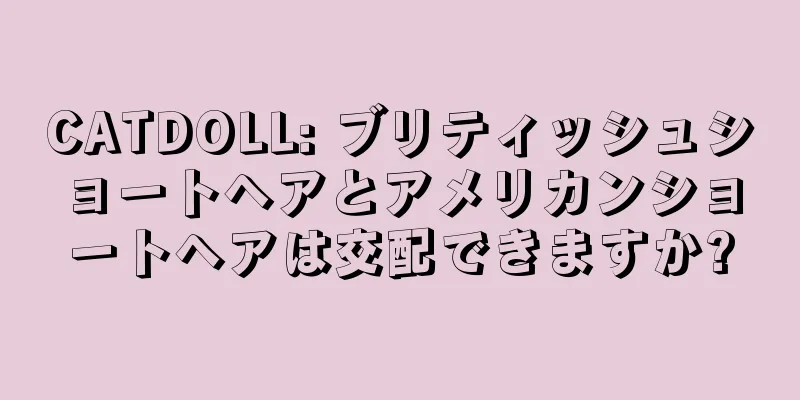 CATDOLL: ブリティッシュショートヘアとアメリカンショートヘアは交配できますか?