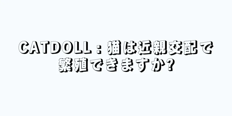 CATDOLL : 猫は近親交配で繁殖できますか?