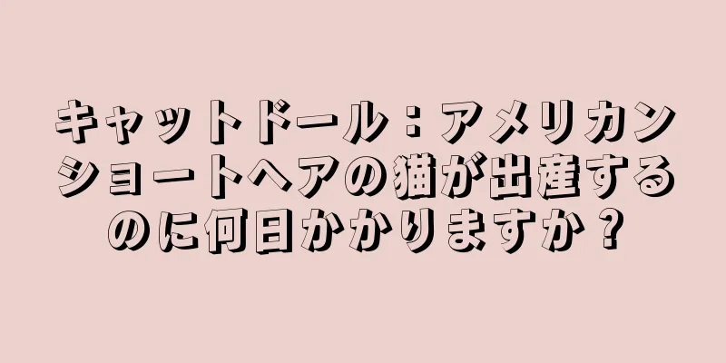 /news/8280.html